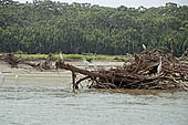 Canoe journey down the rivers of the Madre de Dios department in the Manu reserve